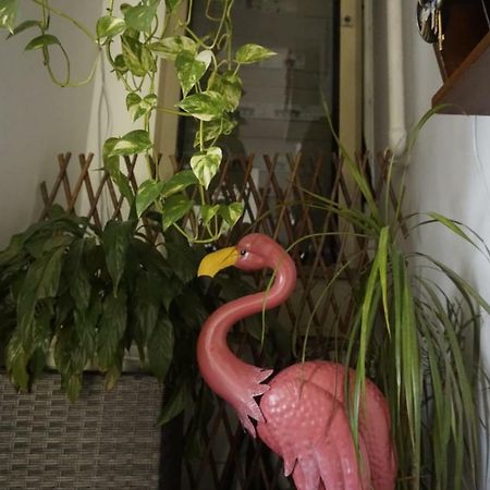 Hotel Arcobaleno Celle Ligure Luaran gambar