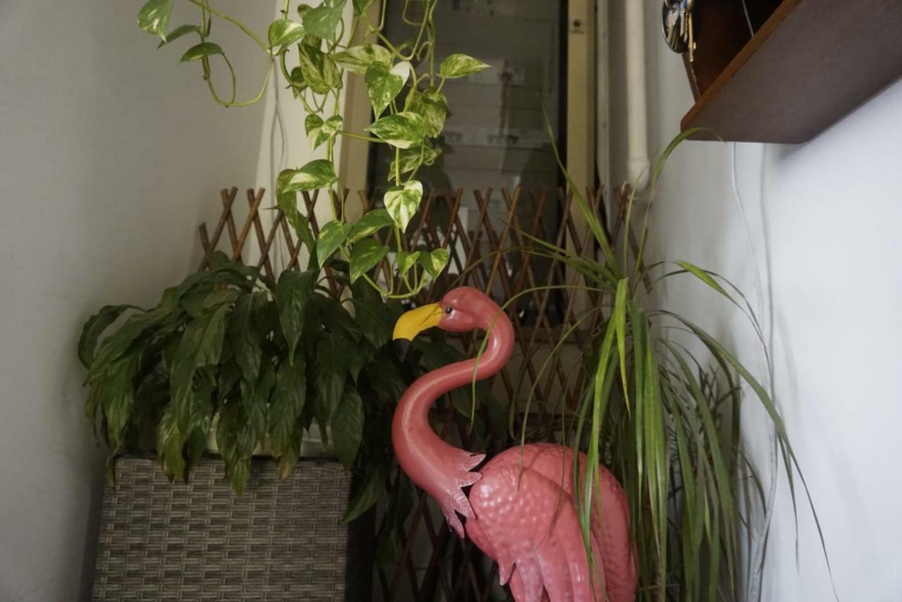 Hotel Arcobaleno Celle Ligure Luaran gambar